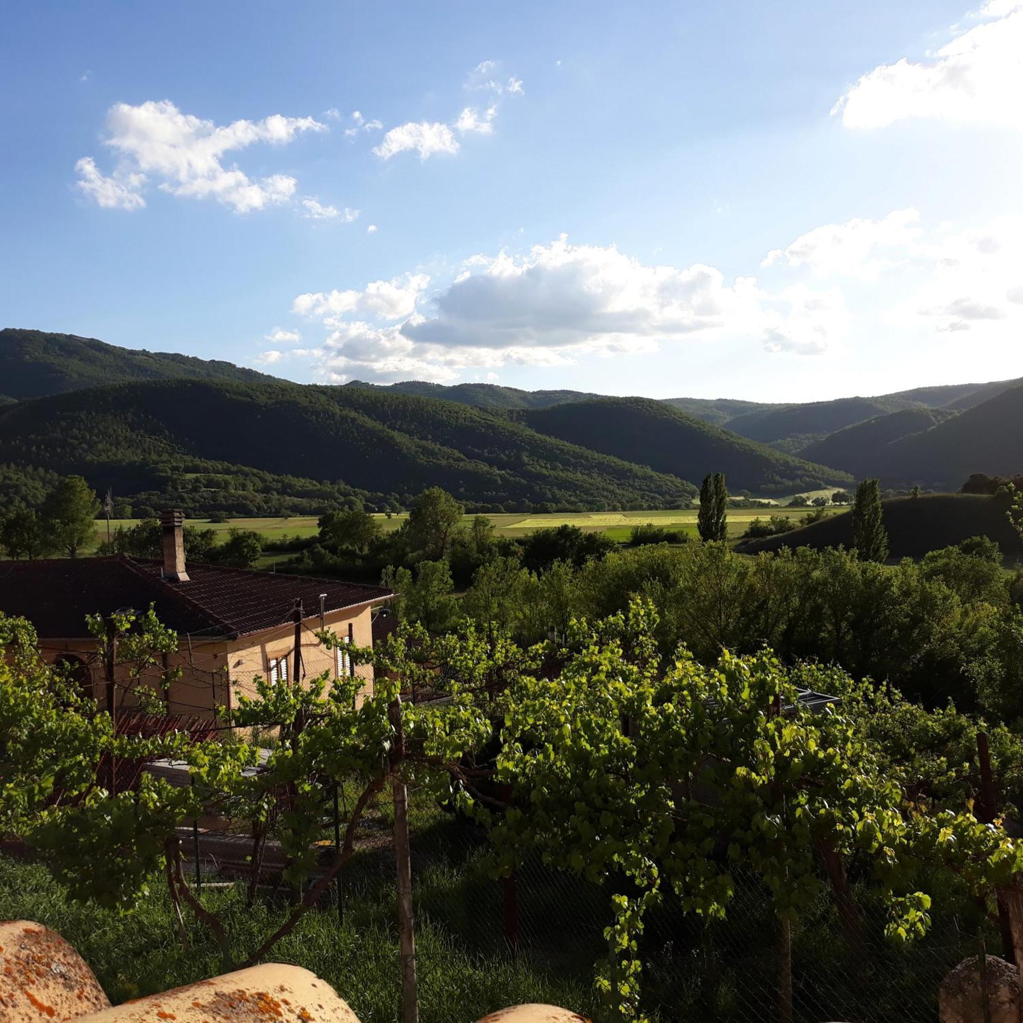 Casale Tozzetti Séjour à la ferme